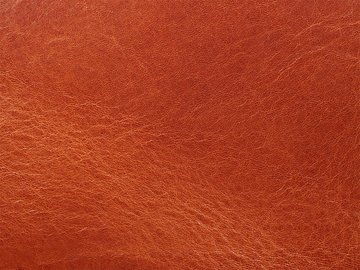 Primavera konjaks 06